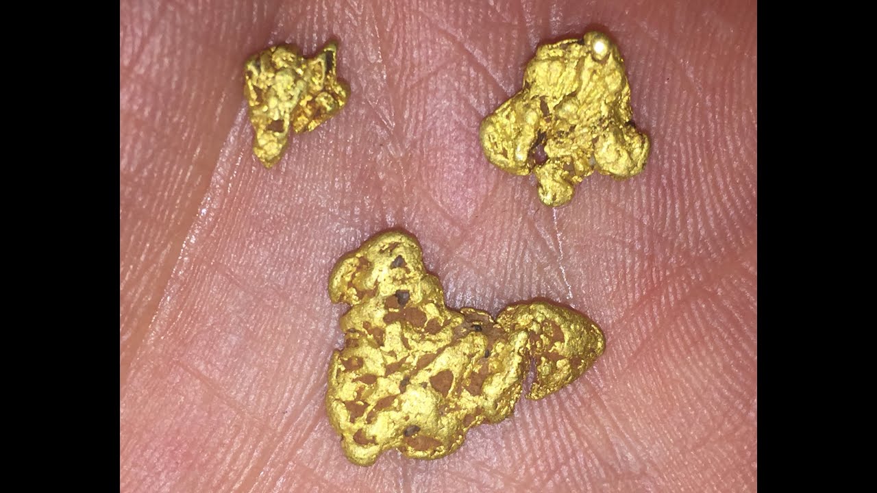 Gold Metal Detectors: Uncovering Hidden Treasures gold detectors- treasure hunting